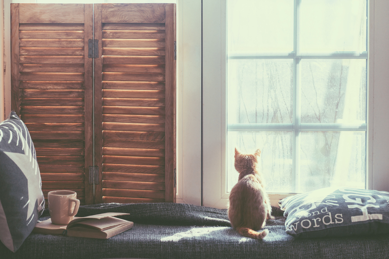 Transforming Trash with Style: Unexpected Upcycling Projects for Every Room
